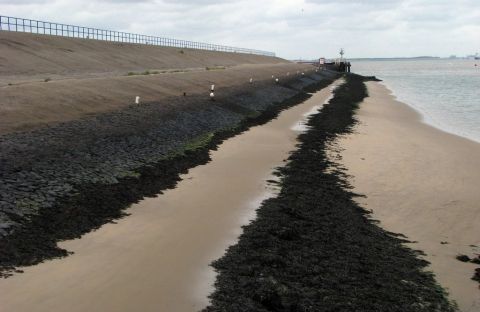 Zdjęcie z rejsu żeglarskiego Den Helder