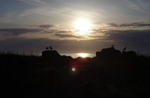 Zdjęcie z rejsu żeglarskiego Sardynia: Castelsardo