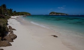 Zdjęcie z rejsu żeglarskiego Palm Island