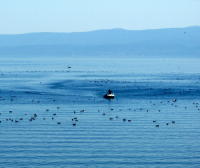 Zdjęcie z rejsu żeglarskiego Omiš