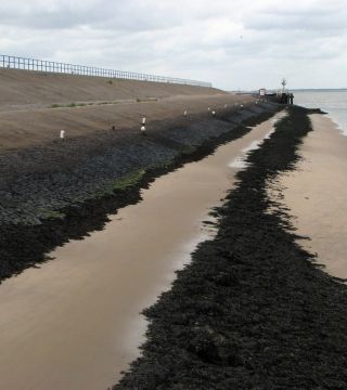 Zdjęcie z rejsu żeglarskiego Londyn