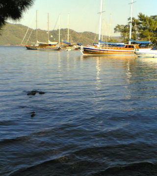 Zdjęcie z rejsu żeglarskiego Fethiye: Tersane