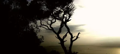 Estepona