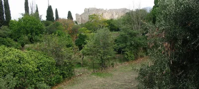 Patras