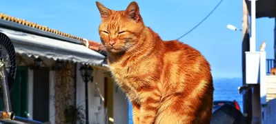 Lefkada