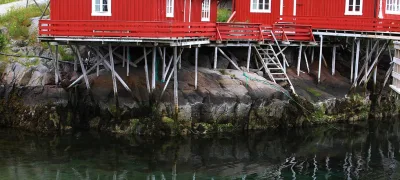 Reine