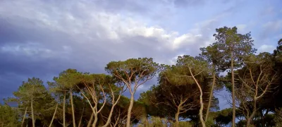 Punta Ala