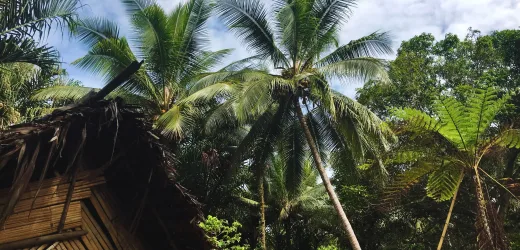 Wyspy Pacyfiku - Fidżi i Vanuatu