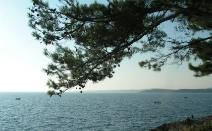 Lošinj – zdjęcie 5