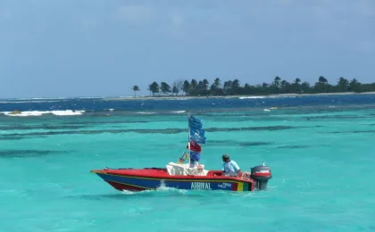 Palm Island – zdjęcie 5