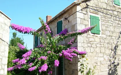 Omiš – zdjęcie 6