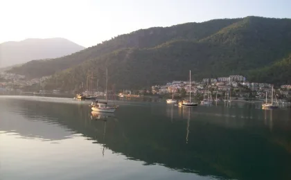 Cold Water Bay – zdjęcie 5