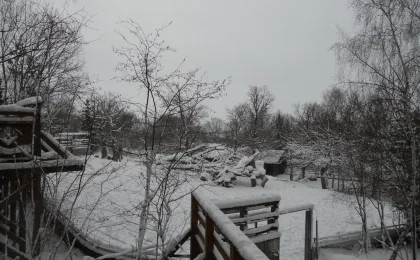 Gotland – zdjęcie 7