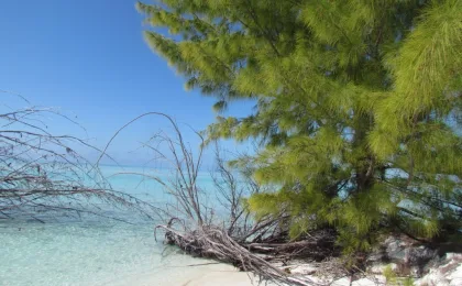 Zdjęcie Coco Plum Cay