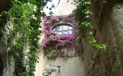 Ischia – zdjęcie 6