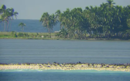 Zdjęcie Tonga