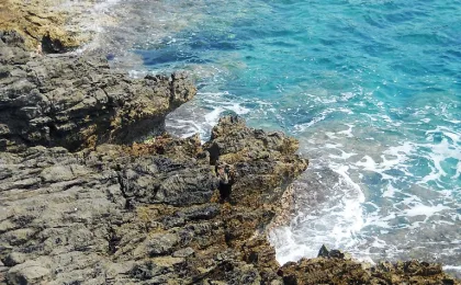 Zdjęcie Plaża Plavi Horizont