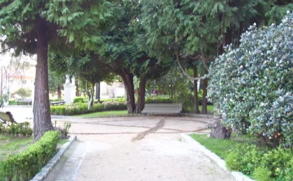 Vigo – zdjęcie 6
