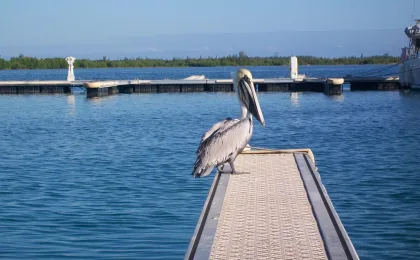 Cayo Largo – zdjęcie 4