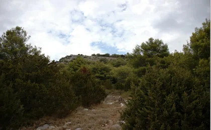 Park Przyrody Telascica – zdjęcie 4
