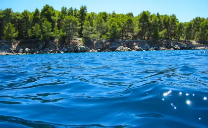 Milna (Brac) – zdjęcie 5