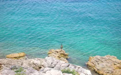 Mali Losinj – zdjęcie 7