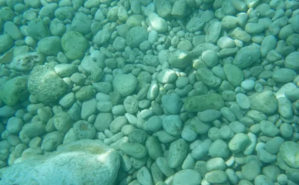 Relaks na plaży Banje – zdjęcie 4