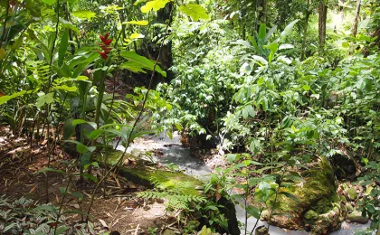 Diamentowe Ogrody Botaniczne – zdjęcie 4