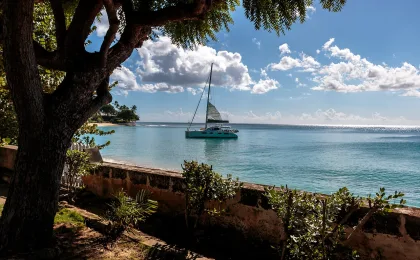 Barbados – zdjęcie 5