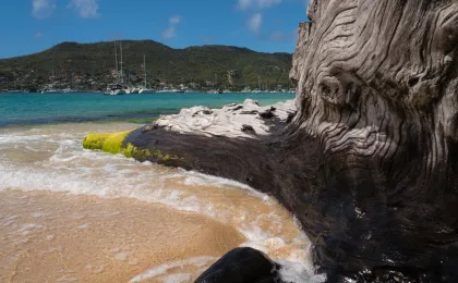 Bequia – zdjęcie 7