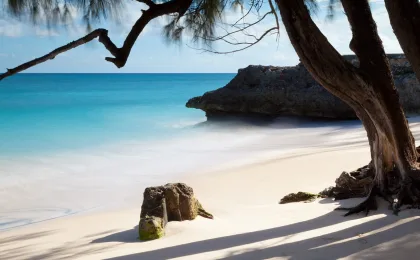 Barbados – zdjęcie 7
