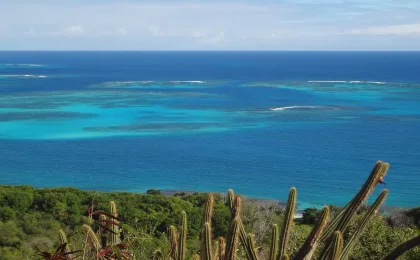 Tobago Cays – zdjęcie 3