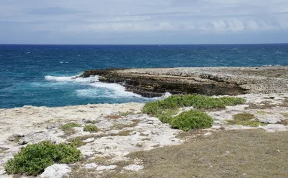 Antigua i Barbuda – zdjęcie 5