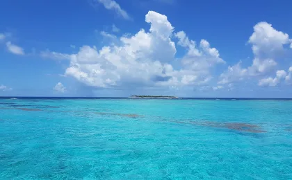 Tobago Cays – zdjęcie 6