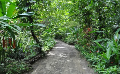 Diamentowe Ogrody Botaniczne – zdjęcie 6