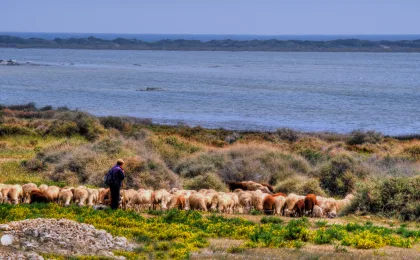 Almerimar – zdjęcie 5