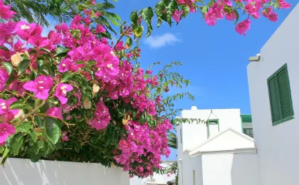 Lanzarote – zdjęcie 4