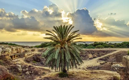 Paphos – zdjęcie 6
