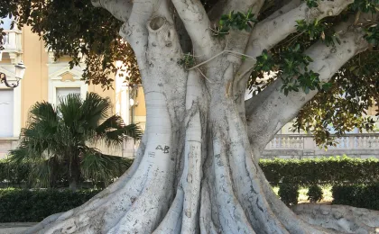 Reggio di Calabria – zdjęcie 3