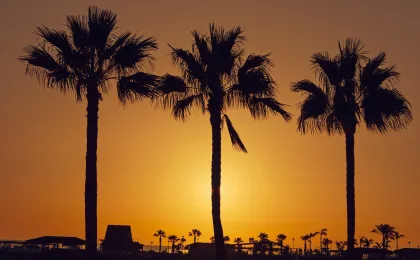Gran Canaria – zdjęcie 4