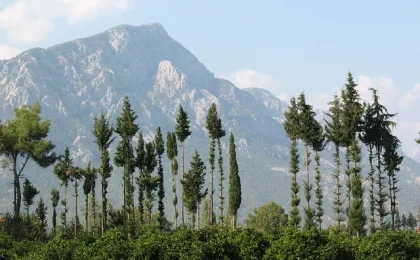Kemer – zdjęcie 7