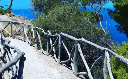 Palma de Mallorca – zdjęcie 3