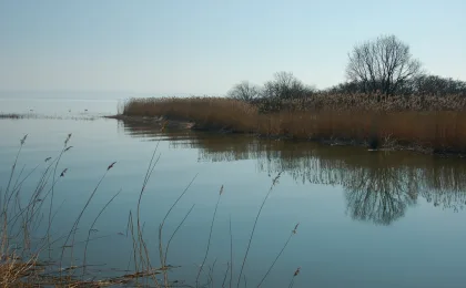 Zatoka Gdańska – zdjęcie 6