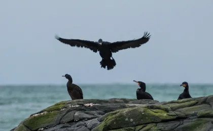 Måløy – zdjęcie 7