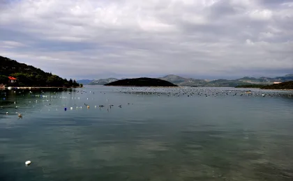 Pelješac – zdjęcie 4