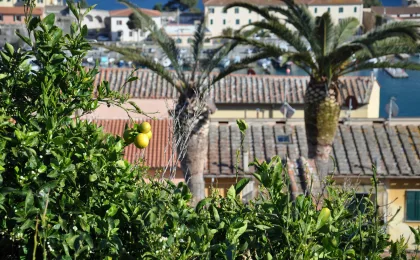 Portoferraio – zdjęcie 6
