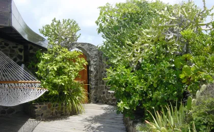 Petit Saint Vincent – zdjęcie 5