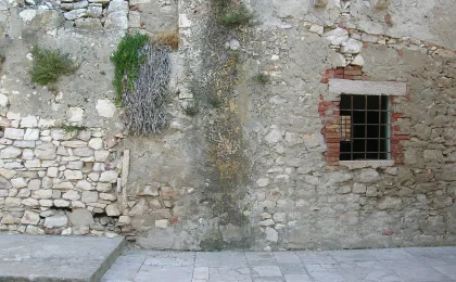 Susak – zdjęcie 4