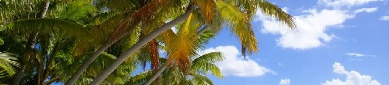 Zdjęcie Bora Bora