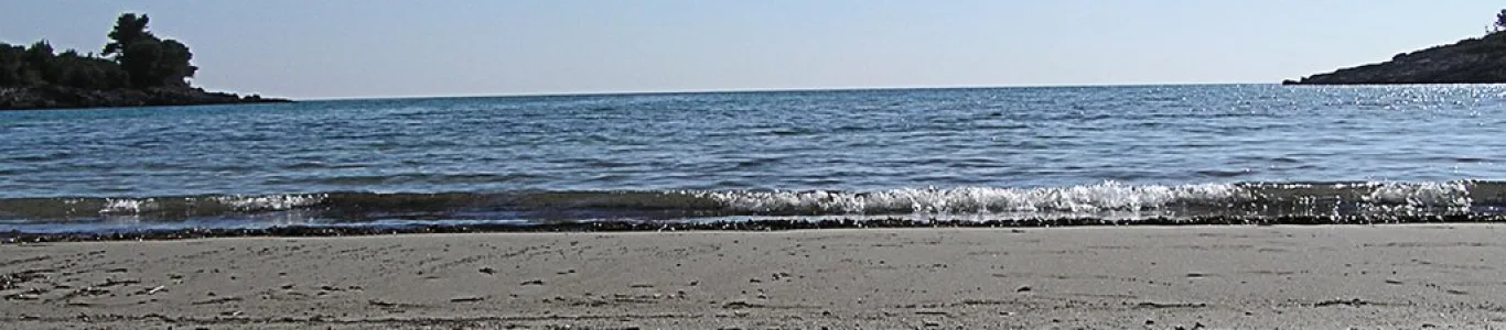 Zdjęcie Plaża Plavi Horizont